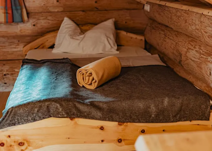 Dei Zeit تامسويغ